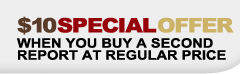 $10 Special Offer when you buy a second report at regular price